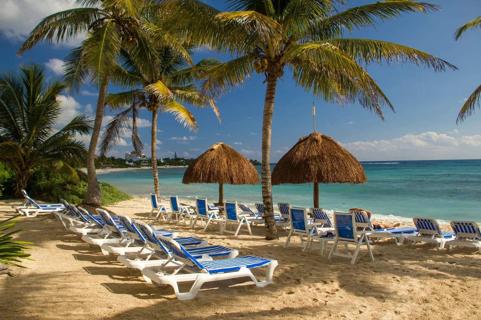 Plage bordée de palmiers et de palapas dans la baie d'Akumal sur la Riviera Maya au Mexique