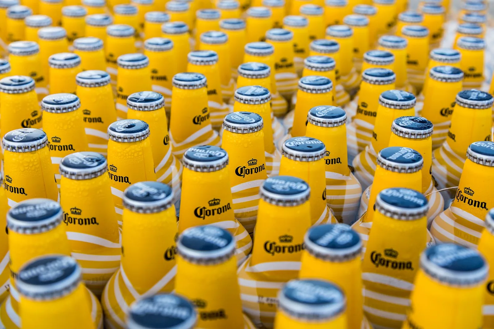 Bouteilles de bière Corona fraîches alignées dans une brasserie au Mexique