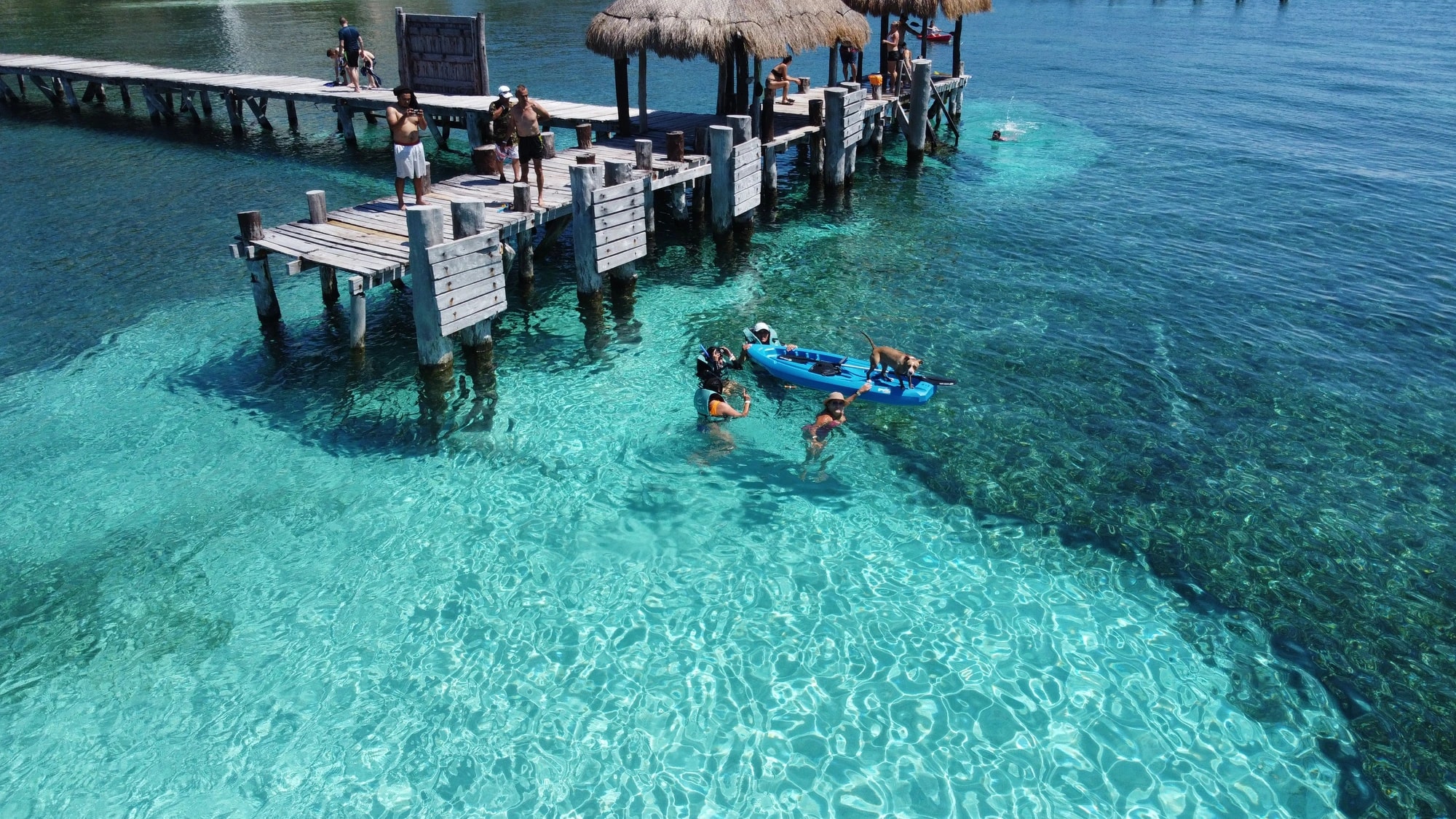 Snorkeling dans une eau turquoise transparente près d'un ponton, excursion au départ de Cancún