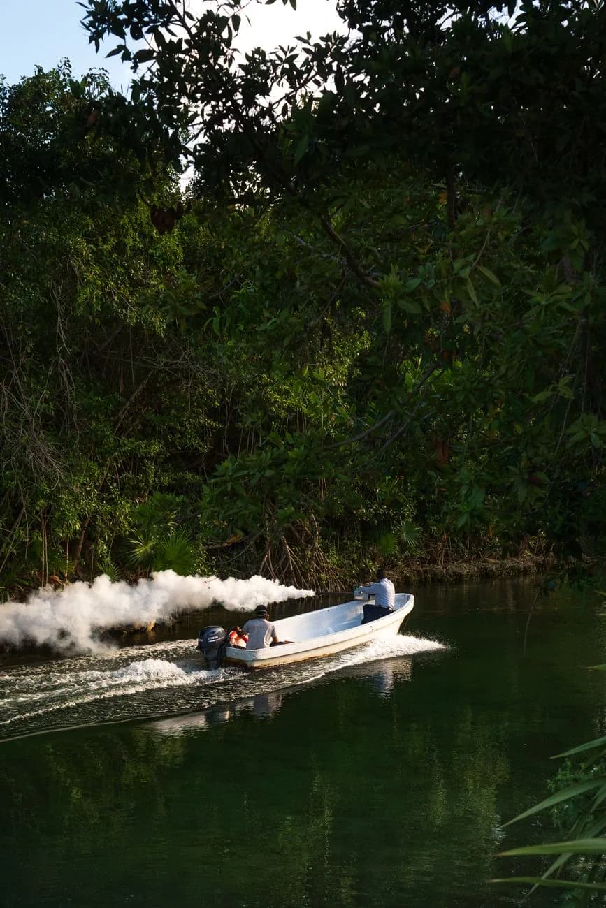 Lancha à moteur remontant un canal de mangrove au Mexique, le type de barque utilisé pour les sorties de Celestún