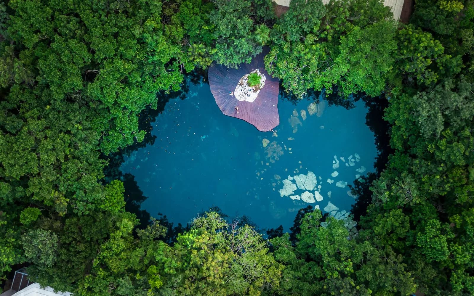 Vue du ciel d'un cenote ouvert entouré de jungle dans la Riviera Maya