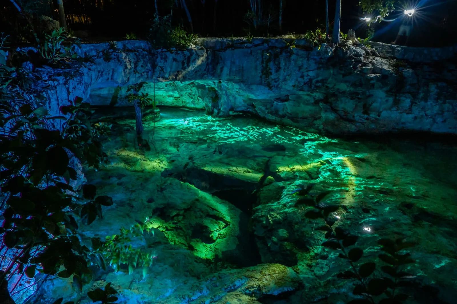 Eaux turquoise éclairées du Gran Cenote de Tulum, entre parois rocheuses et végétation