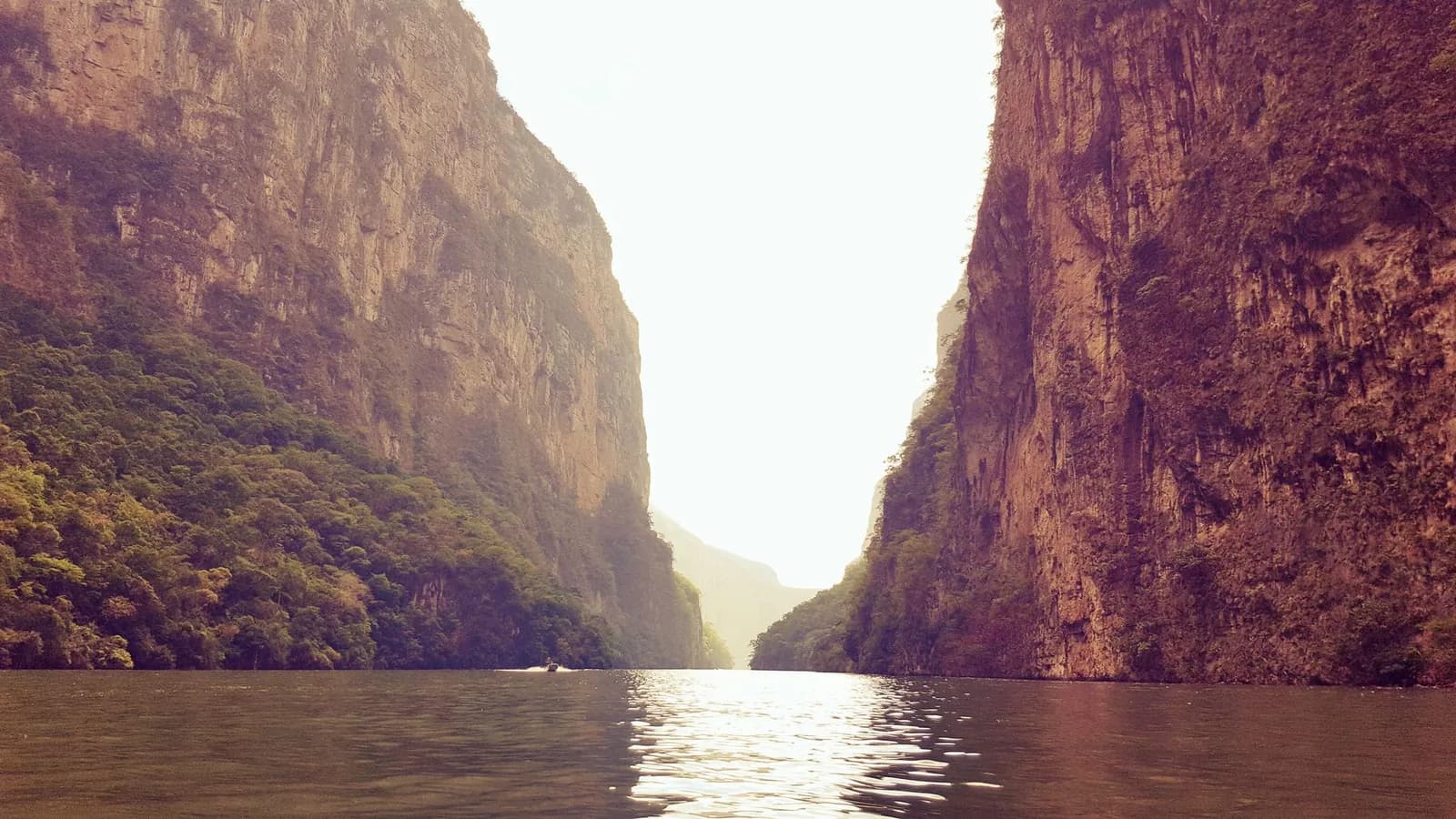 Parois verticales du canyon du Sumidero vues depuis le fleuve Grijalva, dans l'État du Chiapas au Mexique