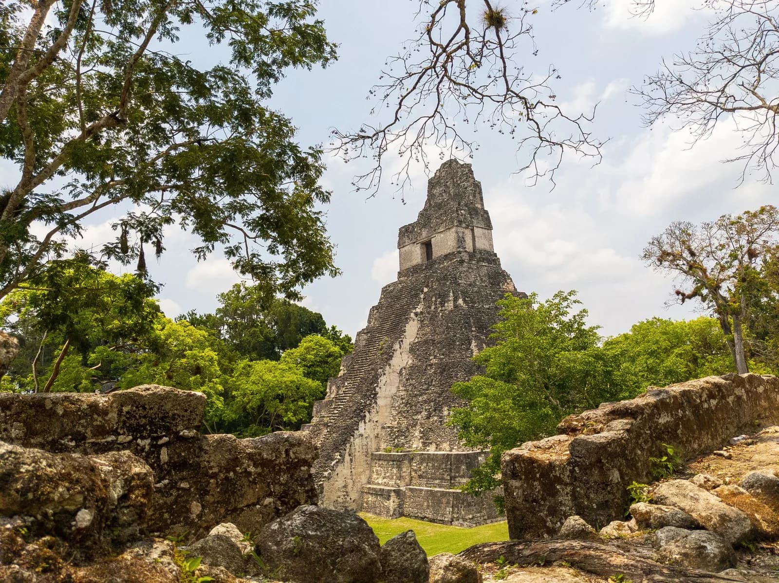 Le Temple I de Tikal, dit du Grand Jaguar, vu entre des murs de pierre et des arbres, au Guatemala
