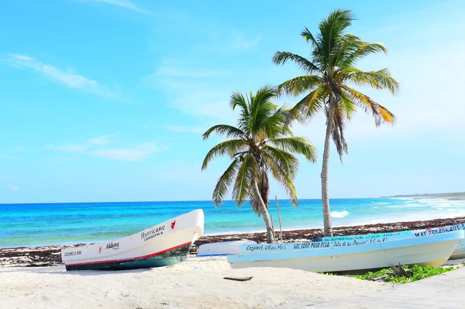 Barques de pêche de Cozumel posées sur le sable blanc devant l'eau turquoise et deux cocotiers