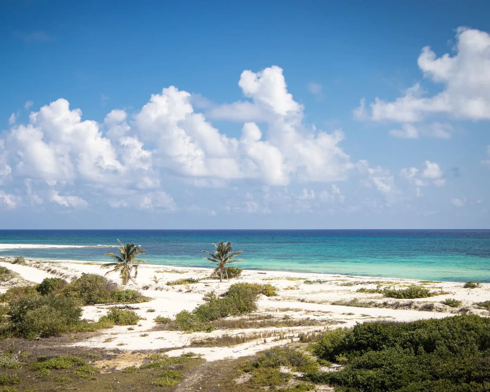Côte sauvage du parc Punta Sur à Cozumel, sable blanc, végétation basse et lagon turquoise