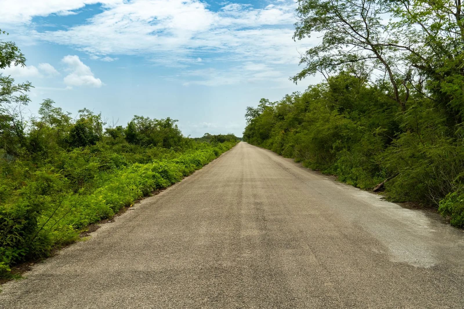 Route au Yucatán pour un road trip en voiture de location au Mexique