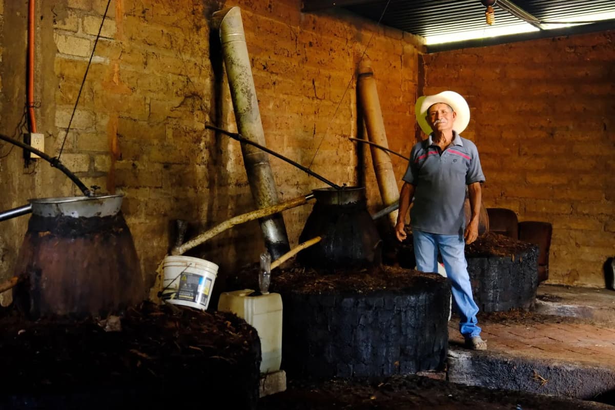 Intérieur d'un palenque en briques : cuves de distillation noircies, tuyaux en bois et producteur au chapeau blanc
