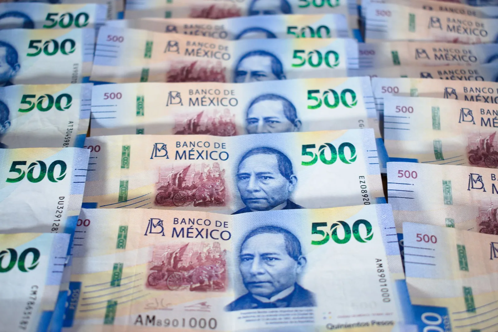 Rangées de billets bleus de 500 pesos mexicains à l'effigie de Benito Juárez