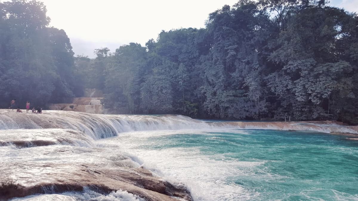 Les gradins turquoise des cascades d'Agua Azul dans le Chiapas au Mexique