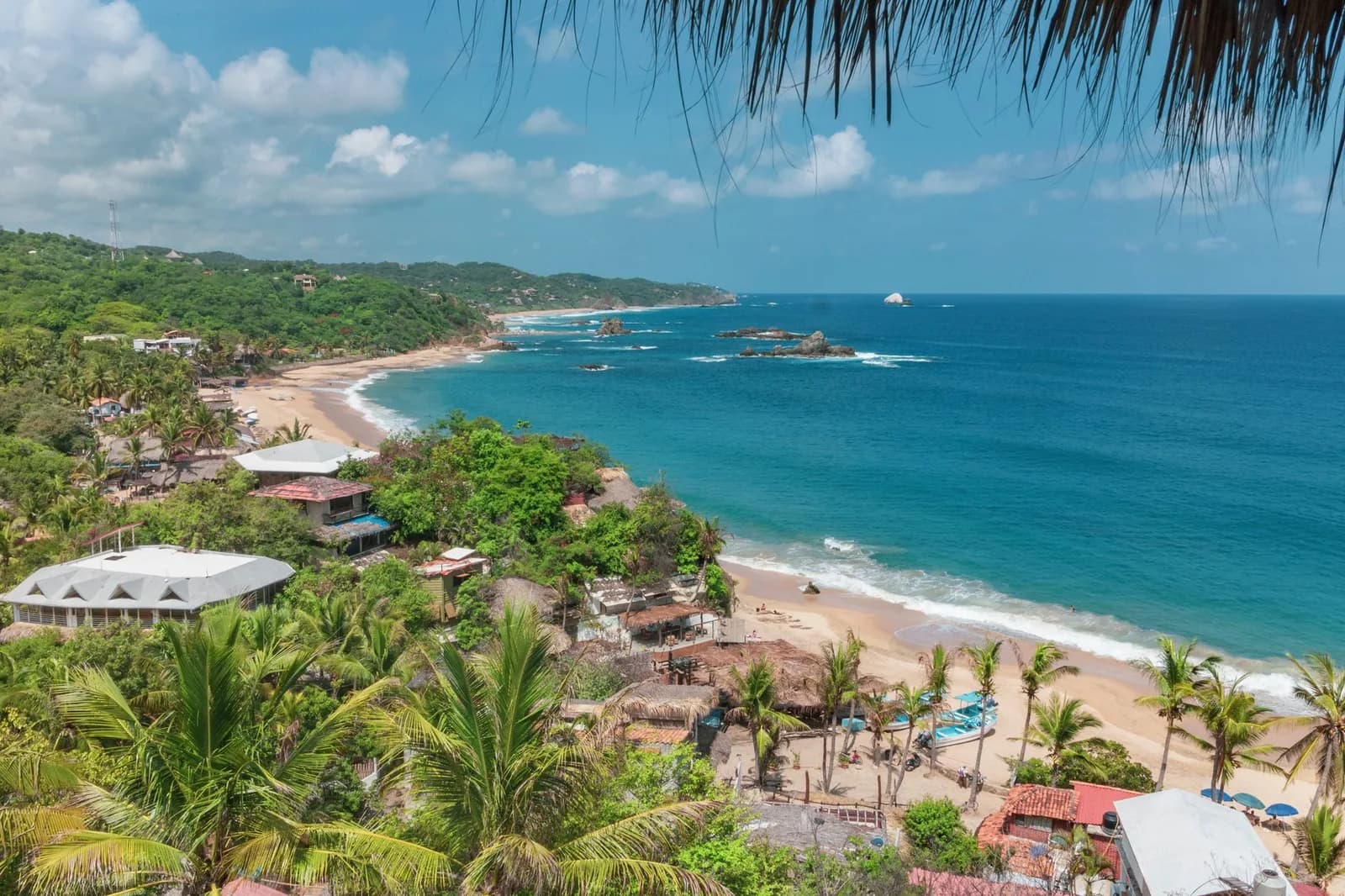 Vue en hauteur d'une baie de sable bordée de palmiers et de cabanes sur la côte de Oaxaca, près de Zipolite et Mazunte