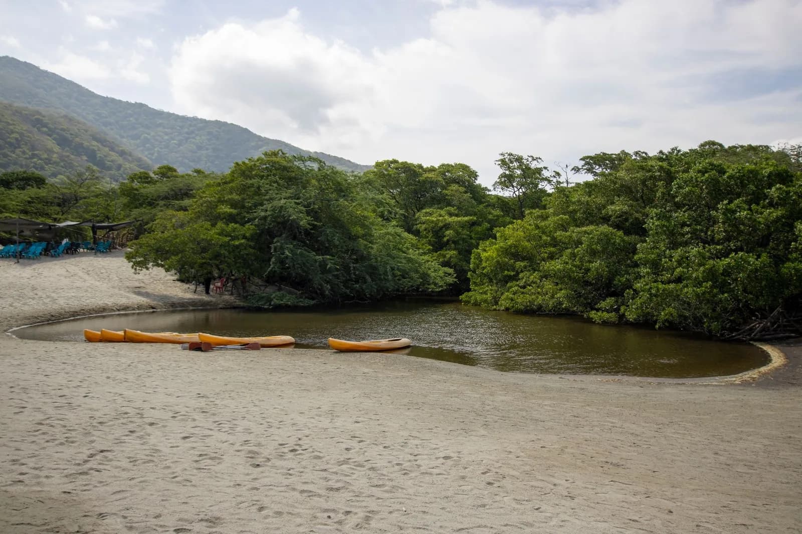 Lagune bordée de mangrove derrière une barre de sable, kayaks jaunes et montagnes au fond