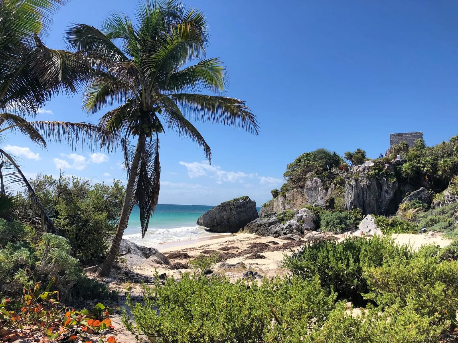 Ruines mayas de Tulum au-dessus de la mer des Caraïbes, Riviera Maya