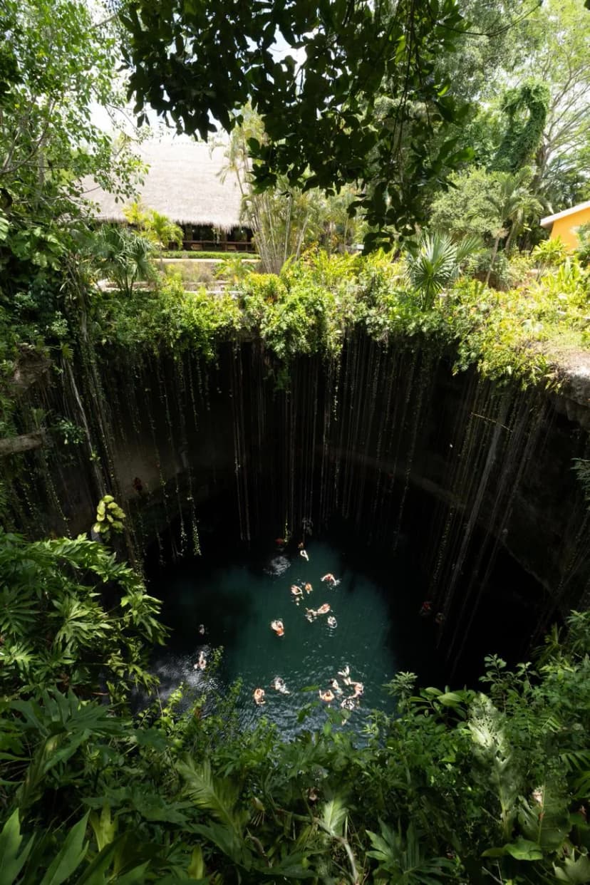 Baigneurs dans le cenote Ik Kil au Yucatán, alternative aux plages touchées par les sargasses