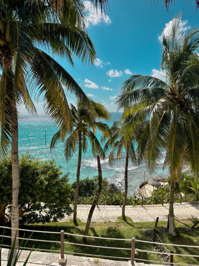 Palmiers et eau turquoise à Isla Mujeres, l'une des rares zones épargnées par les sargasses au Mexique