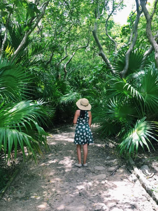 Sentier de jungle tropicale près de Tulum sur la Riviera Maya, cadre typique des temazcales du Yucatán