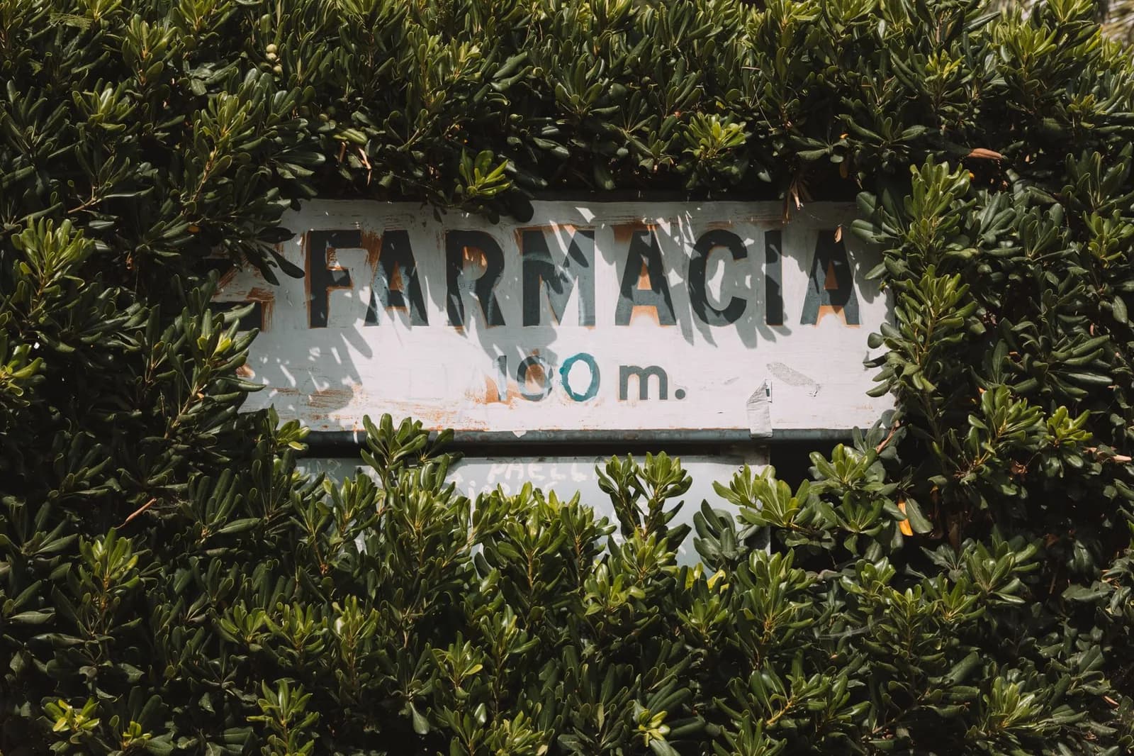 Panneau indiquant une farmacia, pharmacie mexicaine, au milieu de la végétation